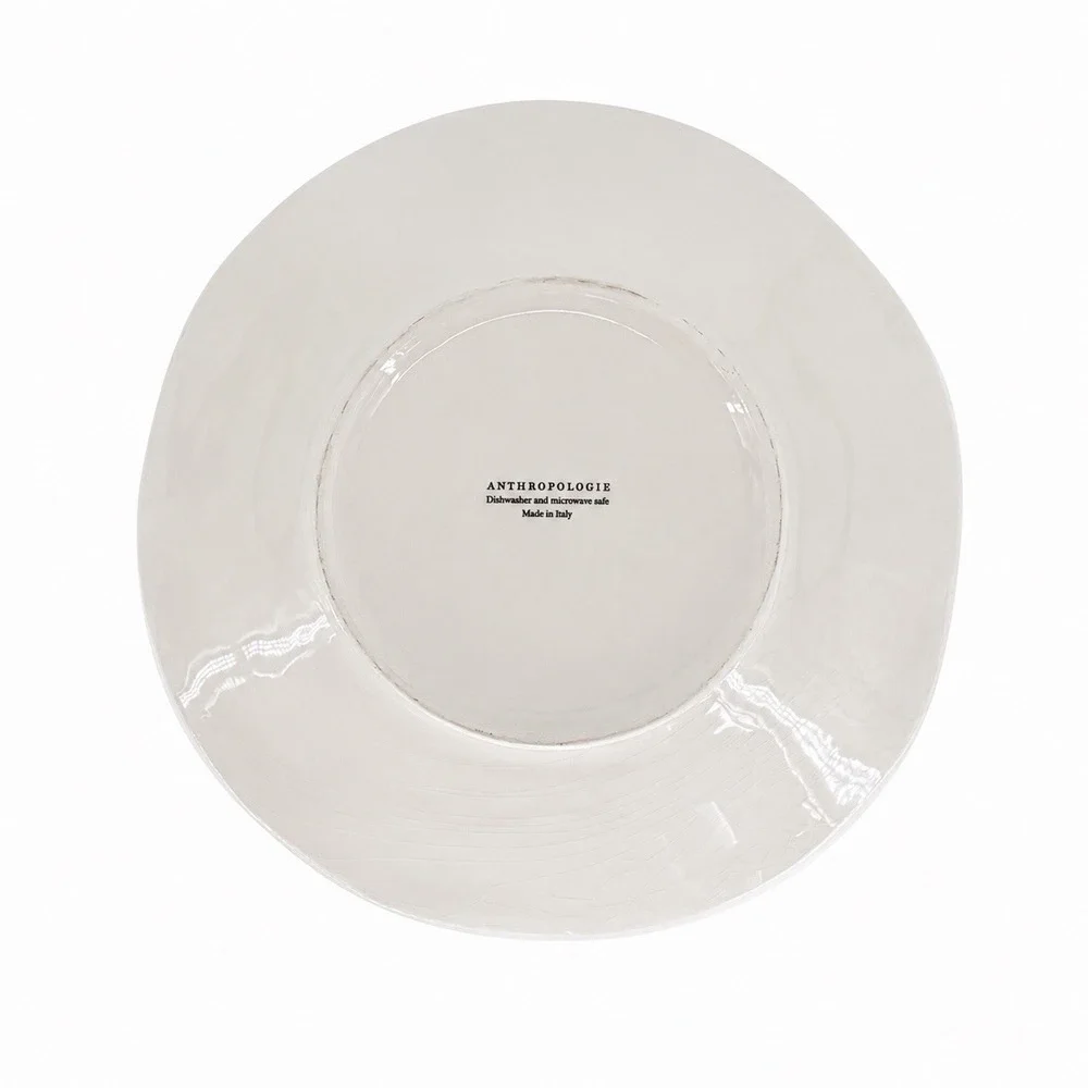 Anthropologie Vector Dinner Plate‎ 11.5